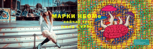 сатива Магас