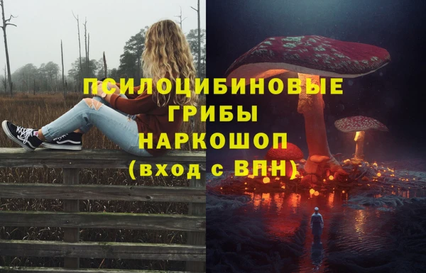 стаф Котовск