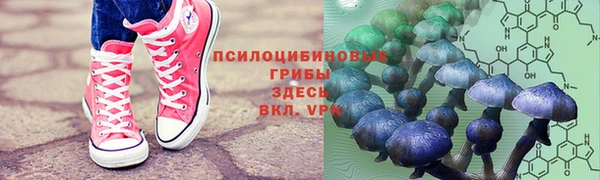 прущий лед Майский
