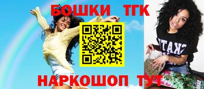 СК Дубна