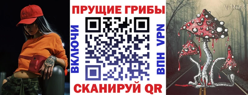 МЕГА рабочий сайт  Михайловка  Псилоцибиновые грибы мухоморы 