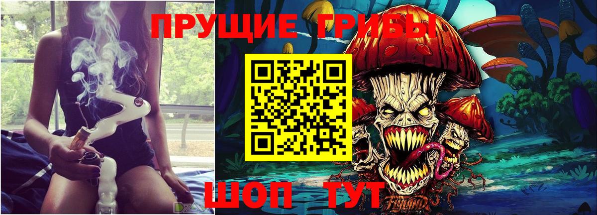 Михайловка  Галлюциногенные грибы MAGIC MUSHROOMS  Галлюциногенные грибы прущие грибы  Вход с VPN 